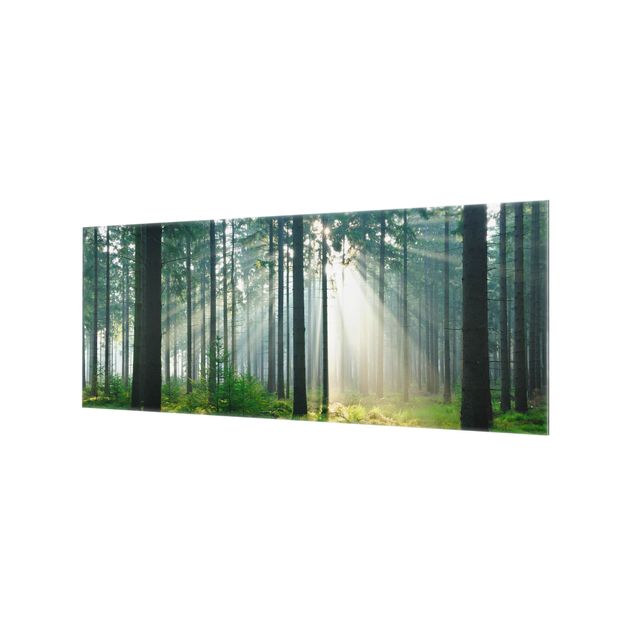 Wohndeko Wald Enlightened Forest