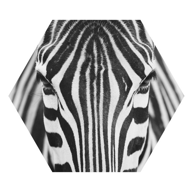 Wanddeko Treppenhaus Zebra Look