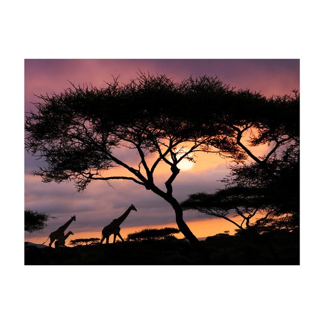 Wanddeko Treppenhaus Safari in Afrika