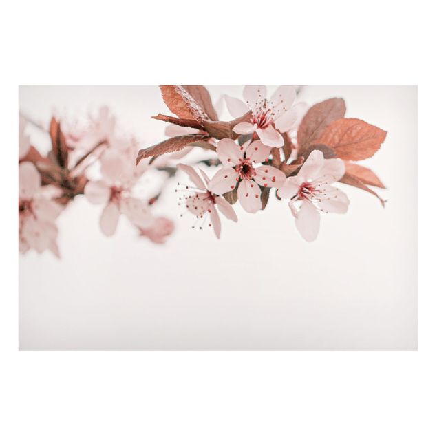 Wanddeko Esszimmer Zarte Kirschblüten am Zweig