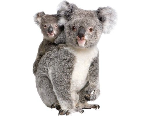 Wanddeko Babyzimmer Koalabären