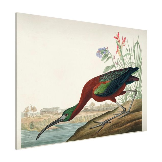 Wanddeko braun Vintage Lehrtafel Brauner Ibis