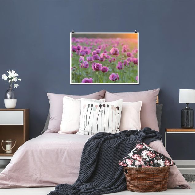 Wanddeko Blume Violette Schlafmohn Blumenwiese im Frühling
