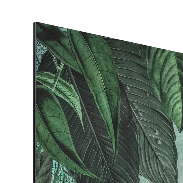 Wohndeko Pflanzen Shabby Chic Collage - Edler Pfau