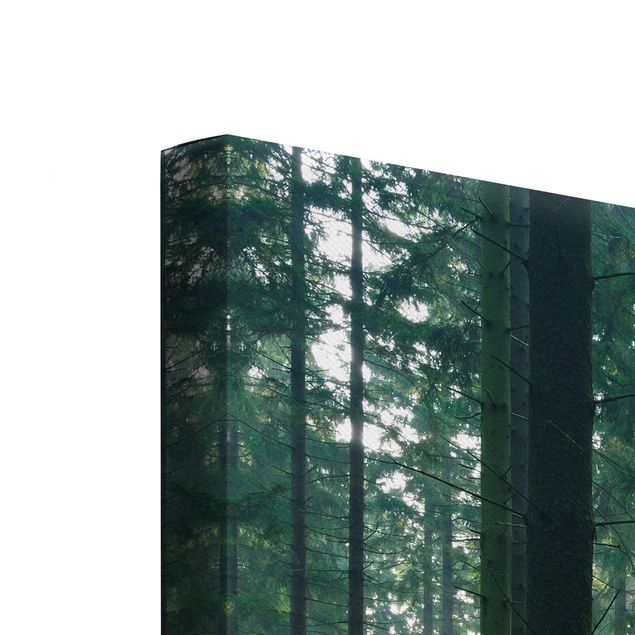 Wanddeko Büro Enlightened Forest