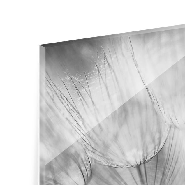 Deko Fotografie Pusteblumen Makroaufnahme in schwarz weiß