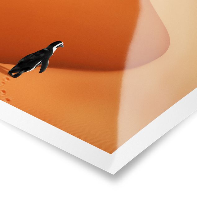 Wanddeko Jugendzimmer Wüste mit Pinguin