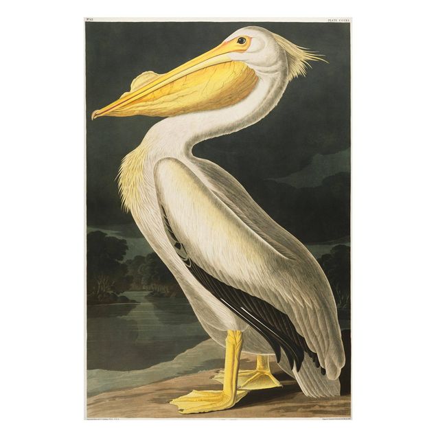 Wanddeko Flur Vintage Lehrtafel Weißer Pelikan