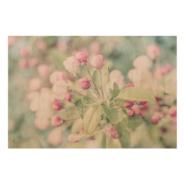 Wanddeko Schlafzimmer Apfelblüte Bokeh rosa