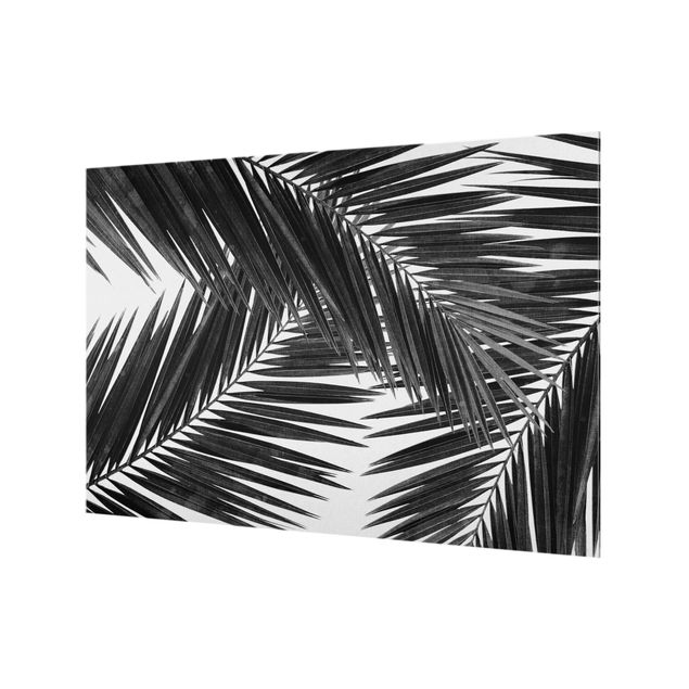 Wohndeko Tropisch Blick durch Palmenblätter Schwarz-Weiß