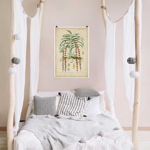 Wanddeko Schlafzimmer Vintage Lehrtafel Exotische Palmen IV