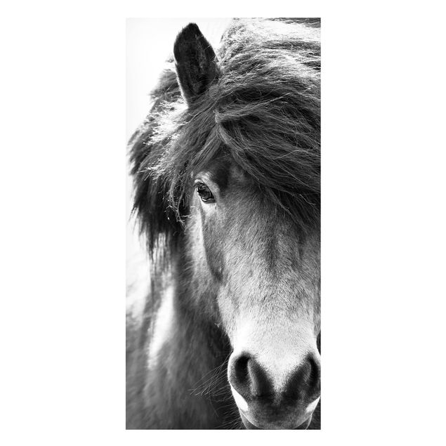 Wanddeko Esszimmer Island Pferd in Schwarz-weiß