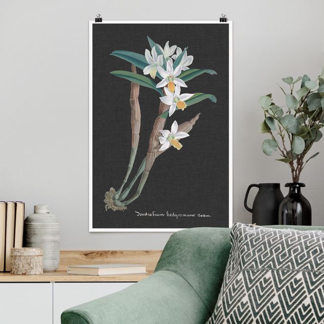 Wandbilder Orchideen Weiße Orchidee auf Leinen I