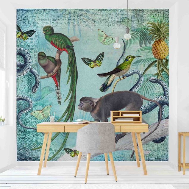 Wanddeko Wohnzimmer Colonial Style Collage - Äffchen und Paradiesvögel