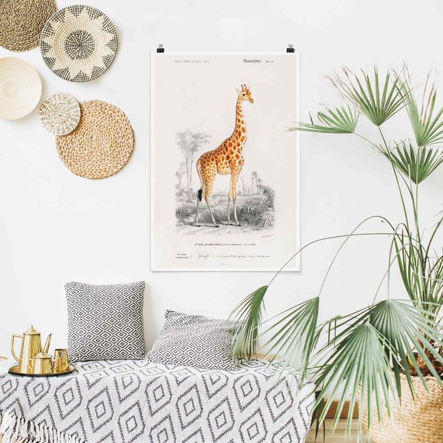 Wanddeko Schlafzimmer Vintage Lehrtafel Giraffe