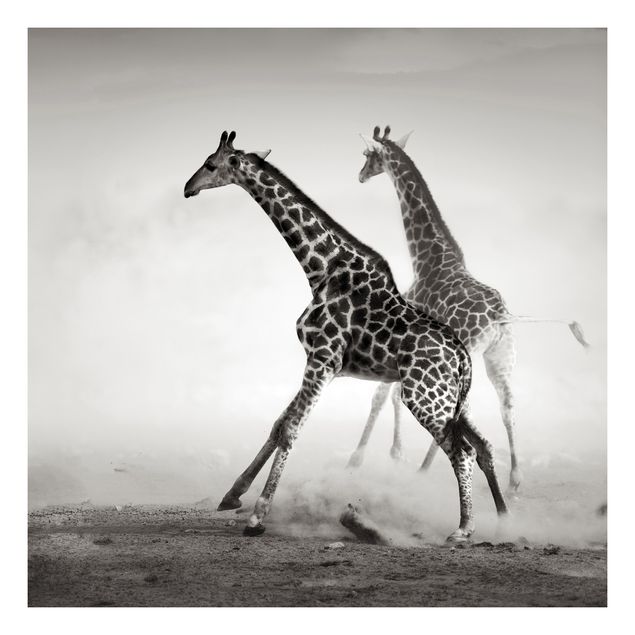 Wohndeko Schwarz & Weiß Giraffenjagd
