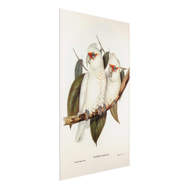 Wanddeko Büro Vintage Illustration Weißer Kakadu
