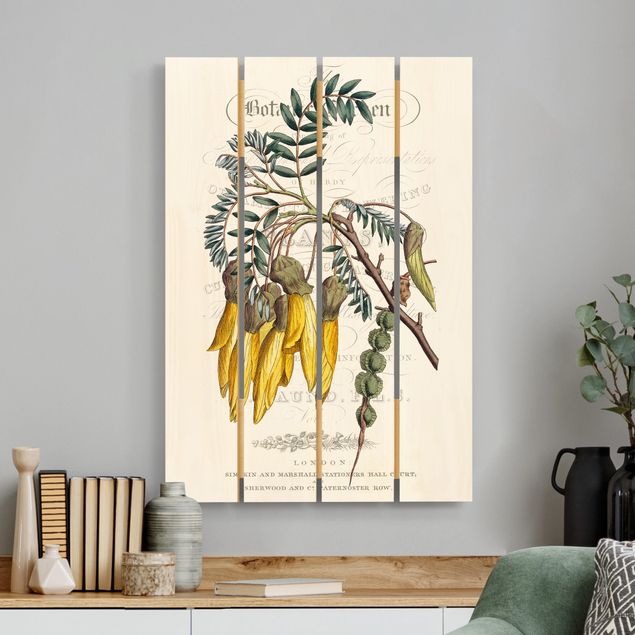Wanddeko beige Botanisches Tableau - Schnurbaum