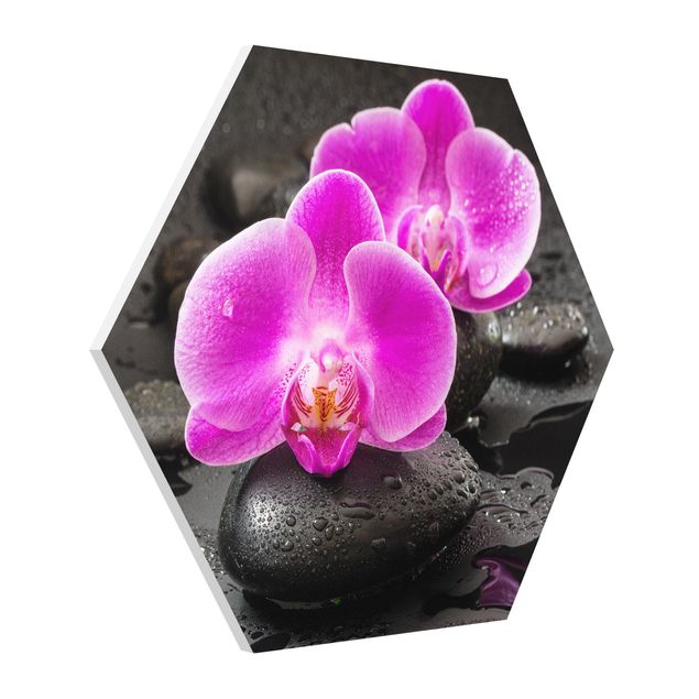 Wanddeko Esszimmer Pinke Orchideenblüten auf Steinen mit Tropfen