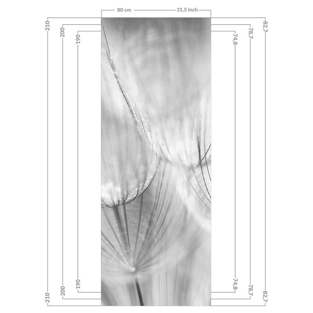 Wohndeko Fotografie Pusteblumen Makroaufnahme in schwarz weiß