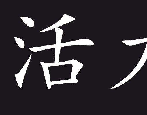Wanddeko draußen No.40 Chinesische Zeichen "Lebensenergie" I
