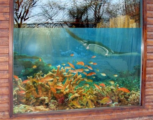 Wanddeko Schlafzimmer Korallenriff Fisch Set