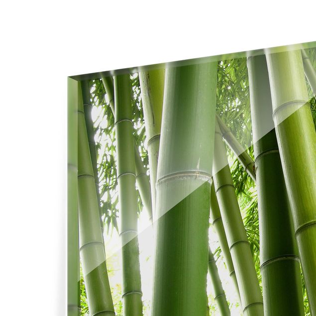 Glasrückwand Küche Blumen Bamboo Trees