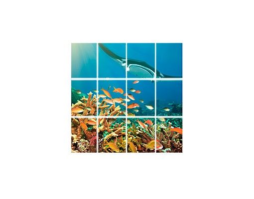 Wanddeko Büro Korallenriff