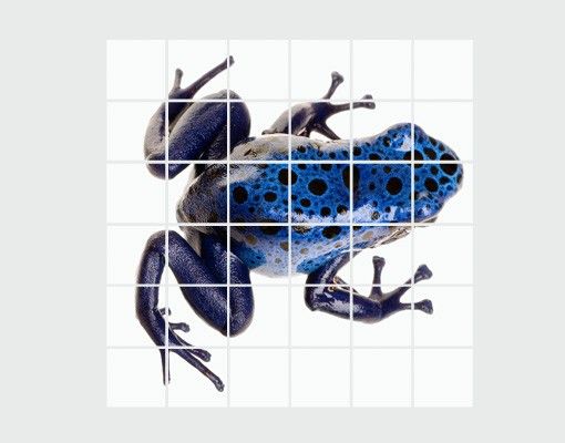 Wanddeko Büro Blauer Frosch