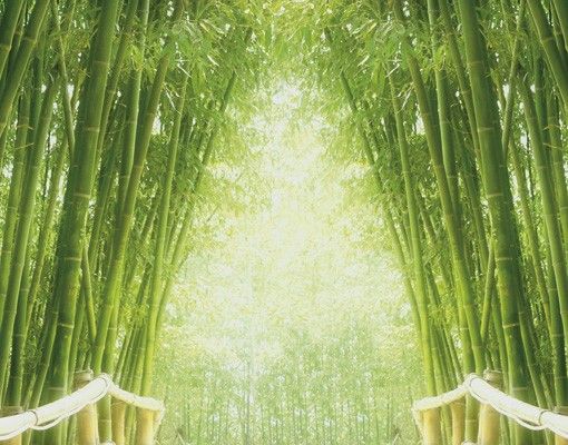 Wanddeko Botanik Bamboo Way