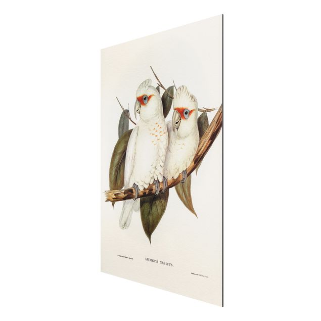 Wanddeko Esszimmer Vintage Illustration Weißer Kakadu