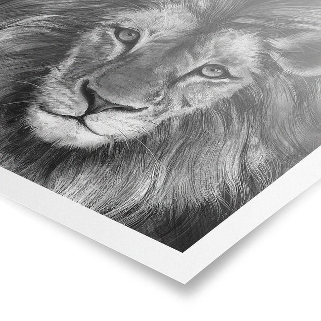 Wandbilder Löwen Illustration Löwe Schwarz Weiß Malerei