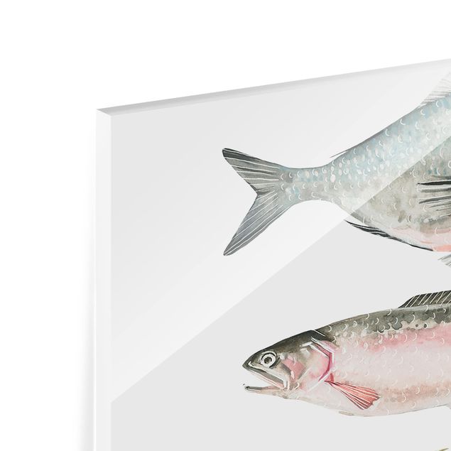 Glasrückwand Küche Sieben Fische in Aquarell II