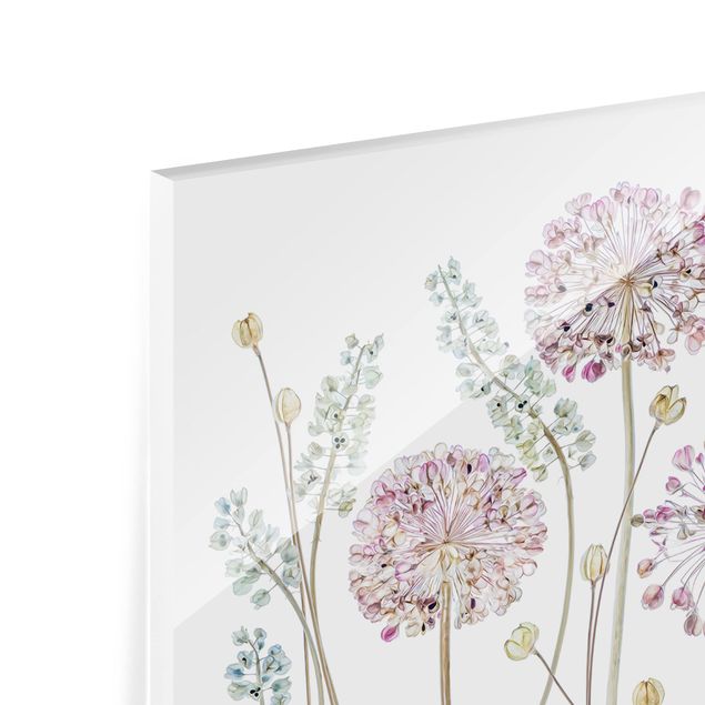 Glasrückwand Küche Blumen Allium Illustration