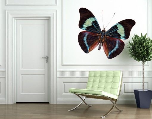 Wanddeko Schlafzimmer No.423 Lepidoptera
