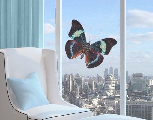 Wanddeko Schlafzimmer Lepidoptera