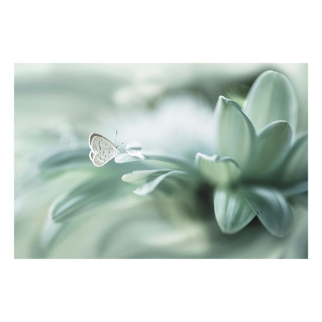 Deko Fotografie Schmetterling und Tautropfen in Pastellgrün