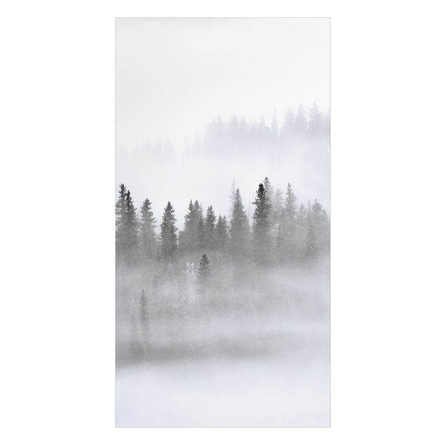 Wanddeko Wald Nebel im Tannenwald Schwarz-weiß