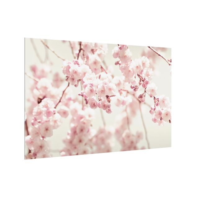 Wanddeko weiß Kirschblütentanz