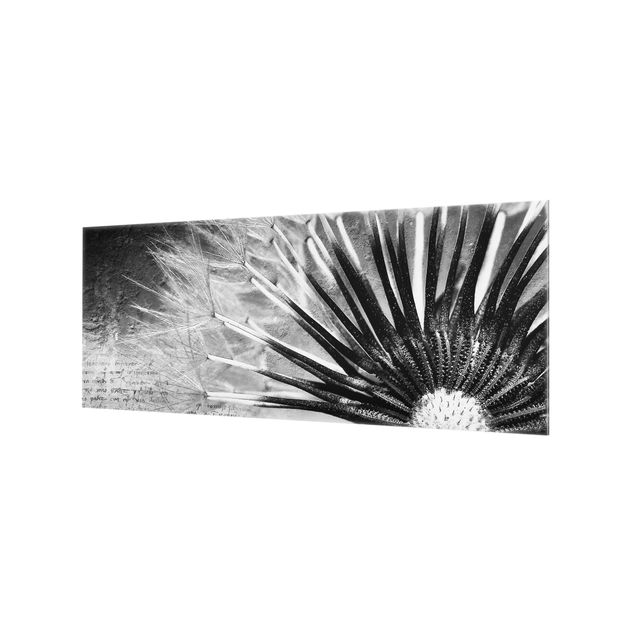 Wanddeko schwarz-weiß Pusteblume Schwarz & Weiß