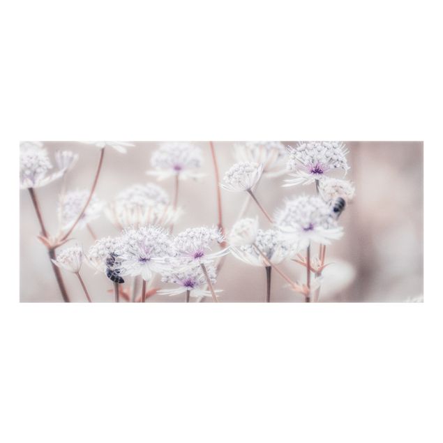 Wohndeko Fotografie Federleichte Wildblumen