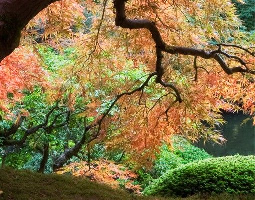 Wanddeko Flur Japanischer Garten