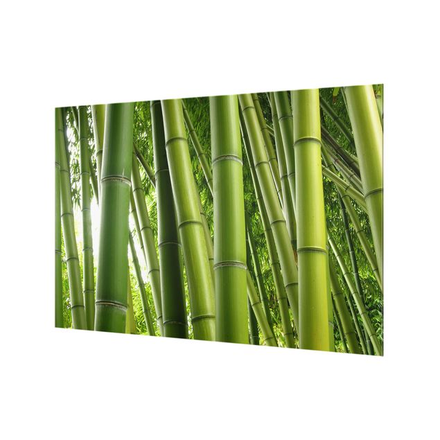 Deko Fotografie Bamboo Trees