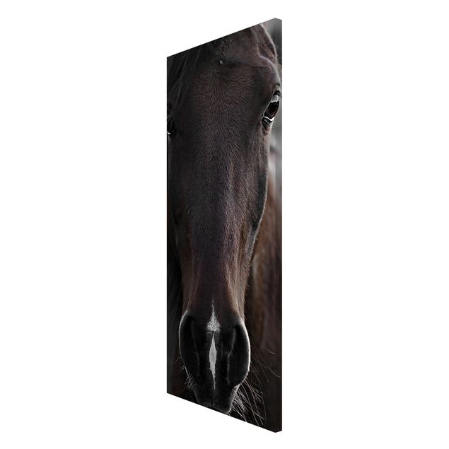 Wanddeko Esszimmer Dunkles Pferd