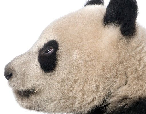 Wohndeko Tiere Stehender Panda