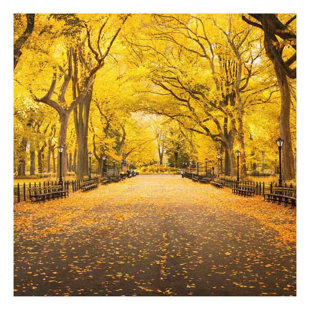 Wohndeko New York Herbst im Central Park