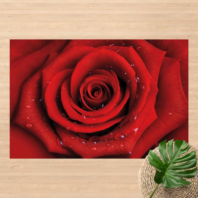 Wanddeko Blume Rote Rose mit Wassertropfen