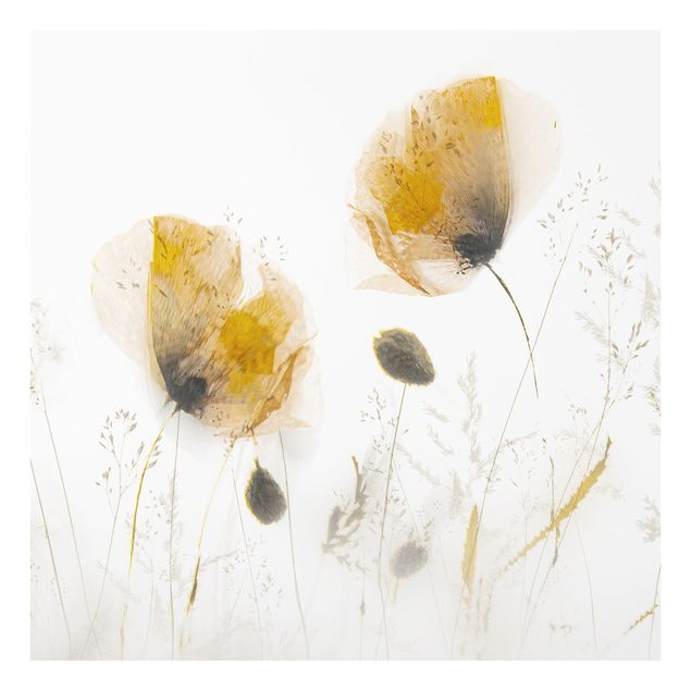 Wanddeko Fotografie Mohnblumen und zarte Gräser im weichen Nebel