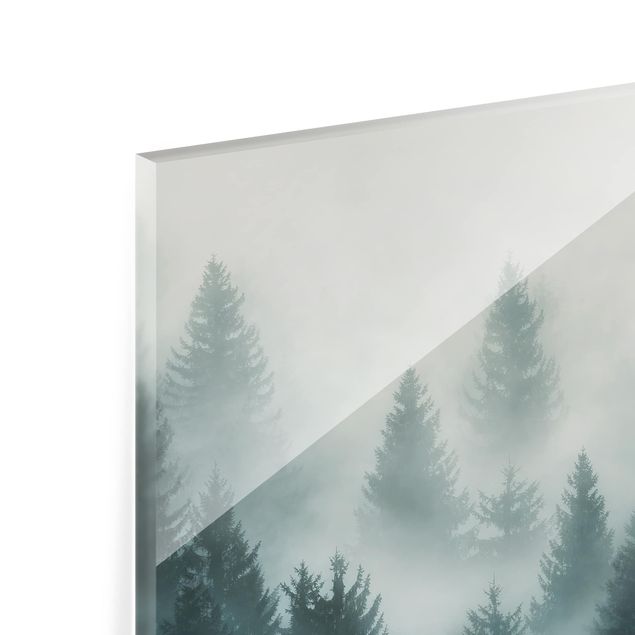 Küchenspiegel Glas Nadelwald im Nebel