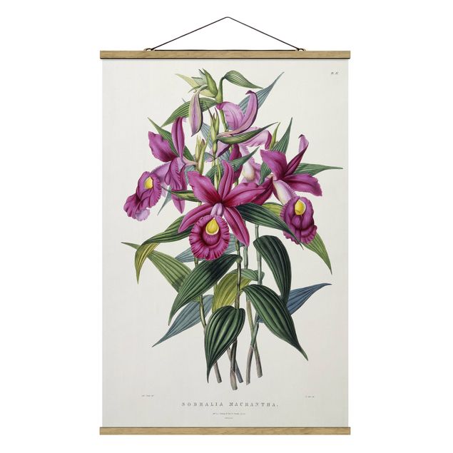 Deko Blume Maxim Gauci - Orchidee I